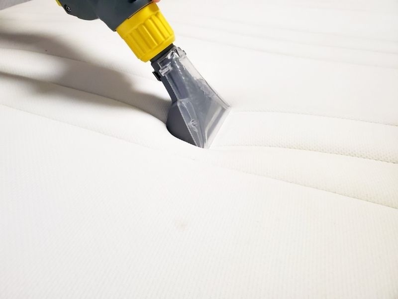 Tips On Maintaining Your Mattress Clean And Bug-free