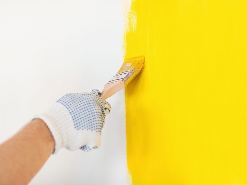 Your Guide to the Different Types of Paint for Your Home