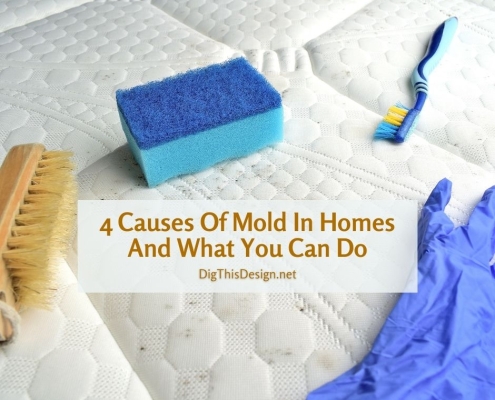 4 Causes Of Mold In Homes And What You Can Do