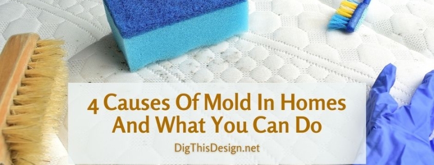 4-causes-of-mold-in-homes-and-what-you-can-do-dig-this-design