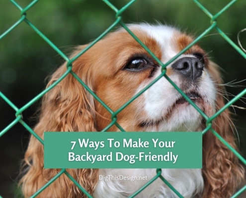 7 Ways To Make Your Backyard Dog-Friendly