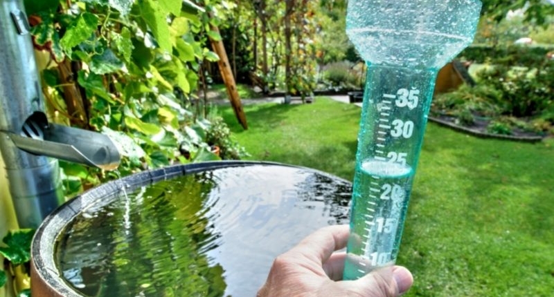 9 Water Conservation Garden Design Ideas - Water Barrel and measuring the water