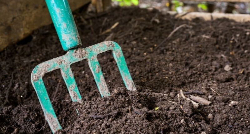 Mulch for your garden