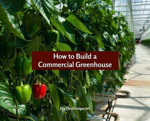 How to Build a Commercial Greenhouse