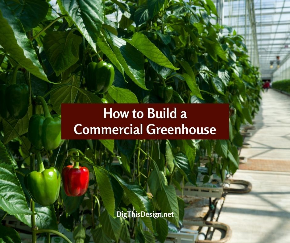 How to Build a Commercial Greenhouse