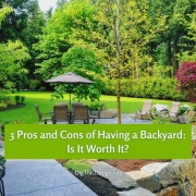 3 Pros and Cons of Having a Backyard Is It Worth It