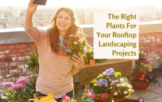 The Right Plants For Your Rooftop Landscaping Projects - woman on rooftop holding her flower pot and taking a selfie.