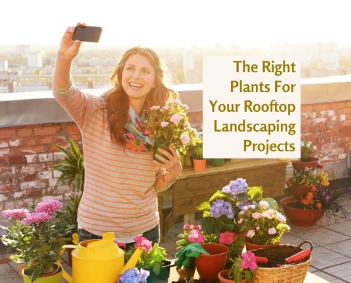 The Right Plants For Your Rooftop Landscaping Projects - woman on rooftop holding her flower pot and taking a selfie.