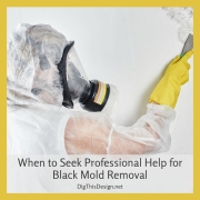 When to Seek Professional Help for Black Mold Removal