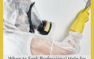 When to Seek Professional Help for Black Mold Removal