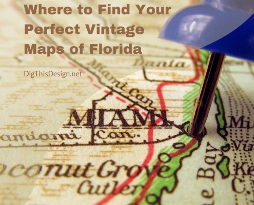 Where to Find Your Perfect Vintage Maps of Florida