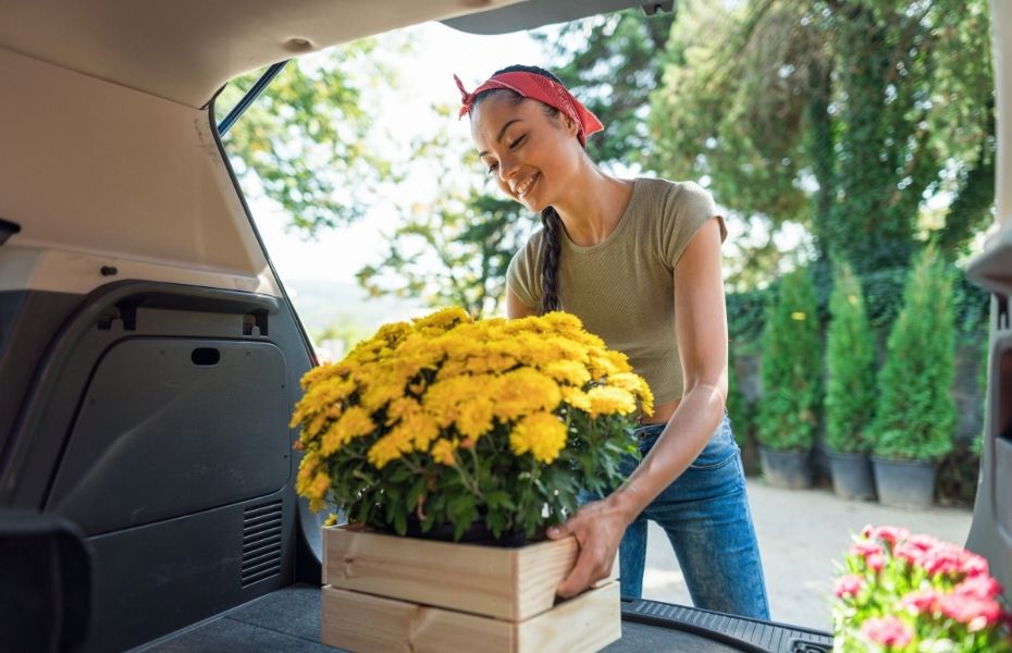 Top Reasons to Use Plant Delivery Online Services