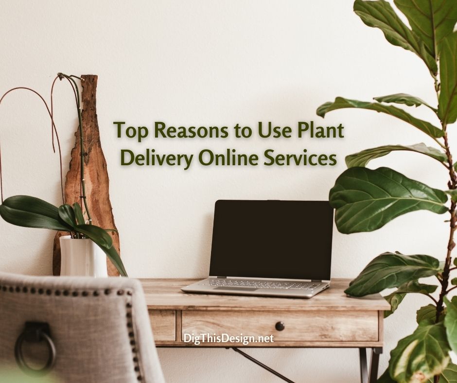 Top Reasons to Use Plant Delivery Online Services
