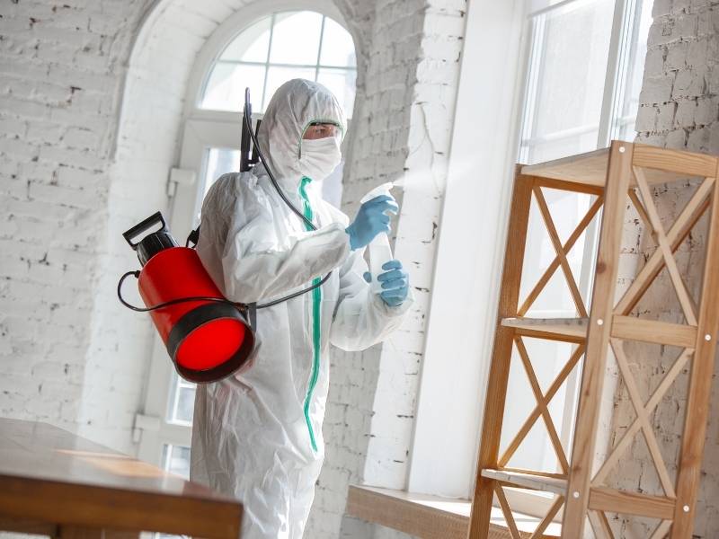 Mold Remediation Miami