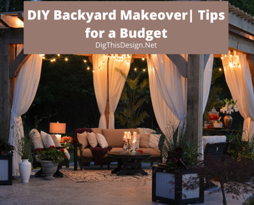 DIY Backyard Makeover | Tips for a Budget