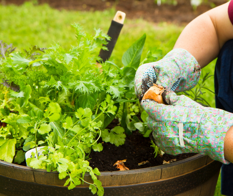 Container Gardening Tips