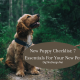 new puppy checklist