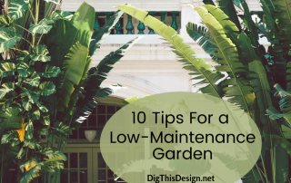 10 tips for a low-maintenance garden