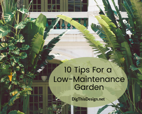 10 tips for a low-maintenance garden