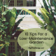 10 tips for a low-maintenance garden