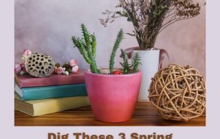 Dig These 3 Spring Decorating Inspirations