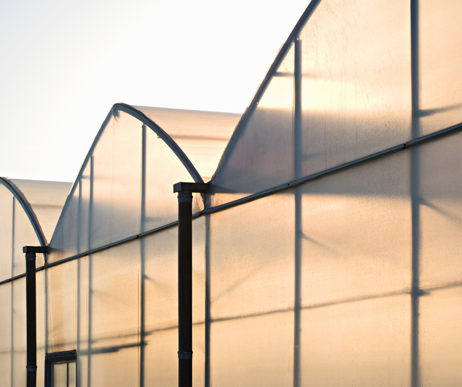 commercial greenhouses