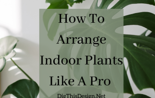 arrange indoor plants