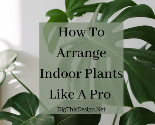 arrange indoor plants