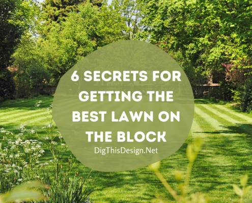 best lawn on the block