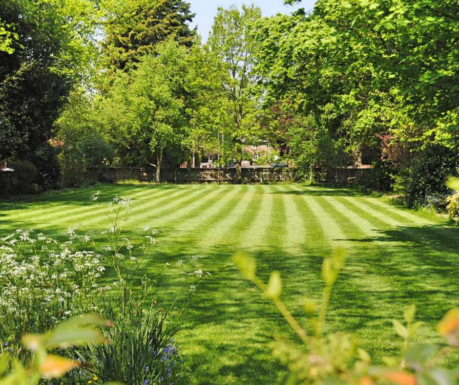 best lawn on the block