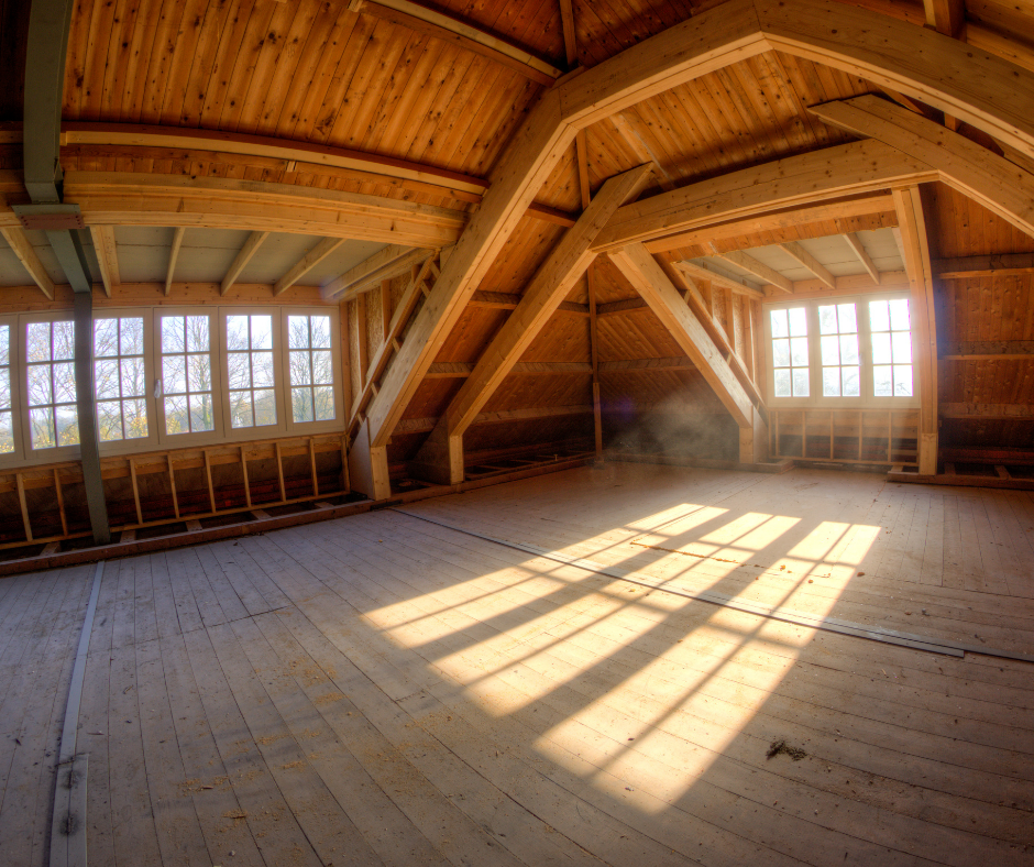  mold in attic 