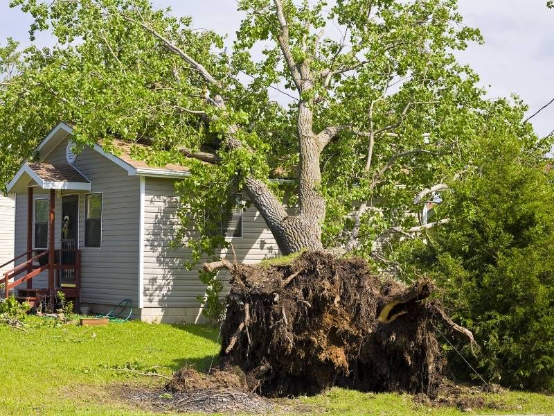 6 Tips for Finding the Best Disaster Restoration Services