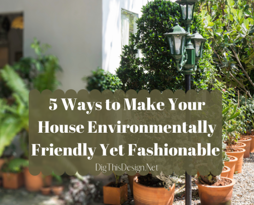 Make Your House Environmentally Friendly