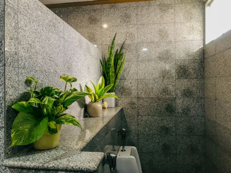 Greenery in the Bathroom for a Soothing and Calming Ambiance