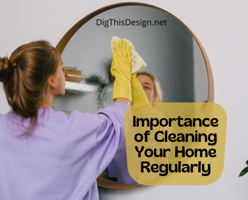 cleaning your home regularly