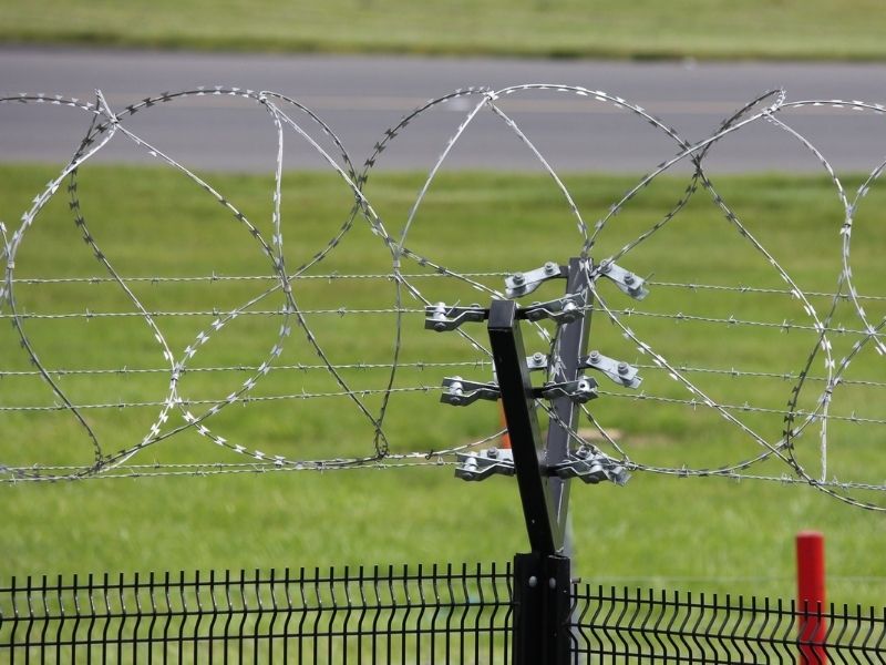 2 Types of Fences that Cause Problems for Wildlife