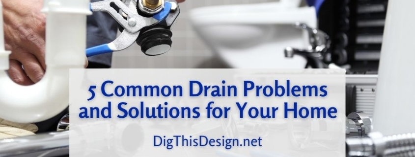 5 Common Drain Problems and Solutions in Your Home