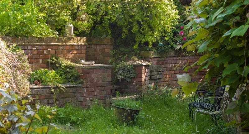 6 Easy Tips to Tackle an Overgrown Garden