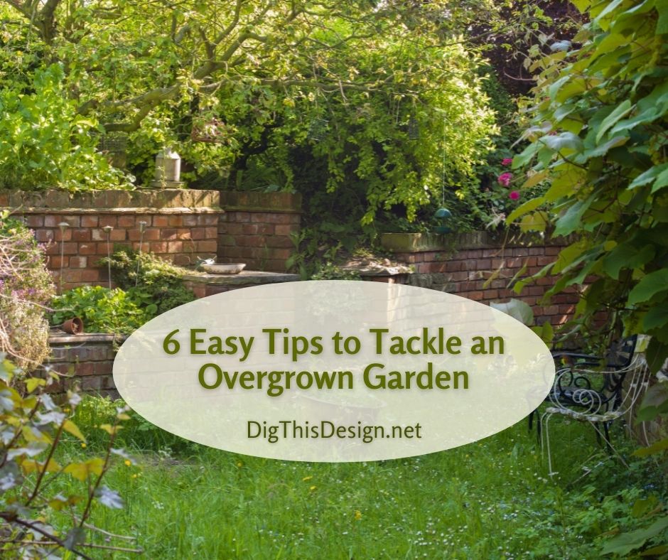 6 Easy Tips to Tackle an Overgrown Garden