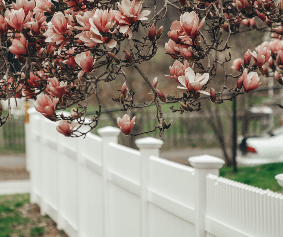 fences to choose