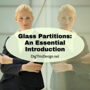 Glass Partitions An Essential Introduction