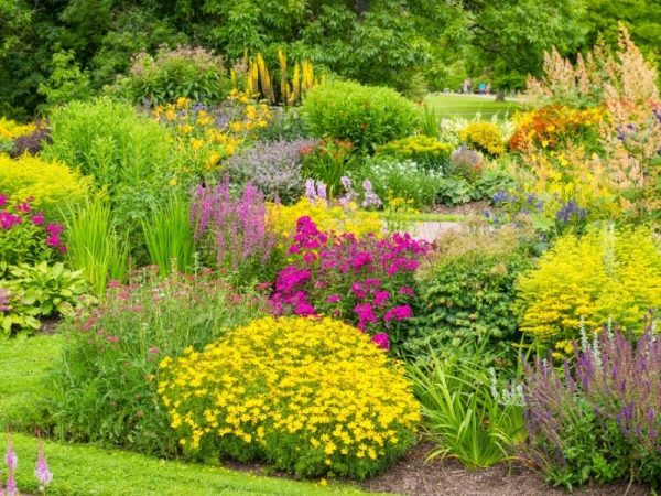 4 Expert Steps to a Fabulous Garden Makeover - Dig This Design