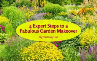 4 Expert Steps to a Fabulous Garden Makeover