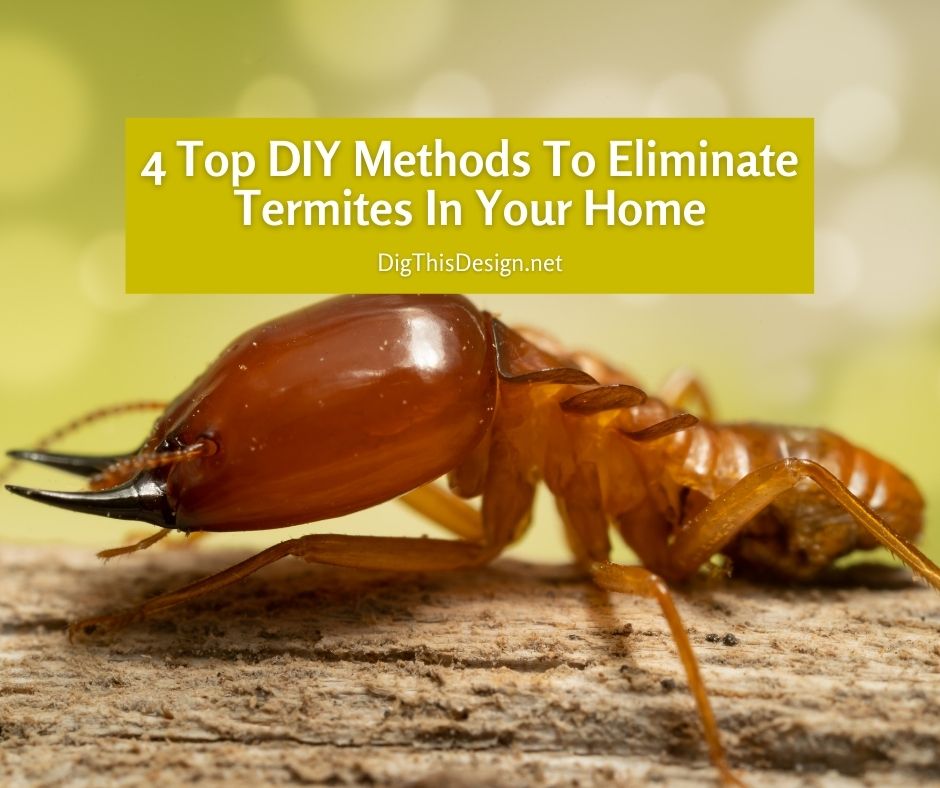 4 Top DIY Methods To Eliminate Termites In Your Home