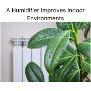 A Humidifier Improves Indoor Environments