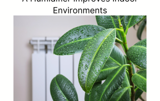 A Humidifier Improves Indoor Environments