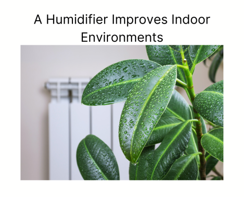 A Humidifier Improves Indoor Environments