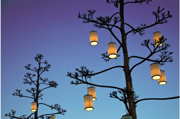 Ideas for adding exterior lighting to your outdoor space.