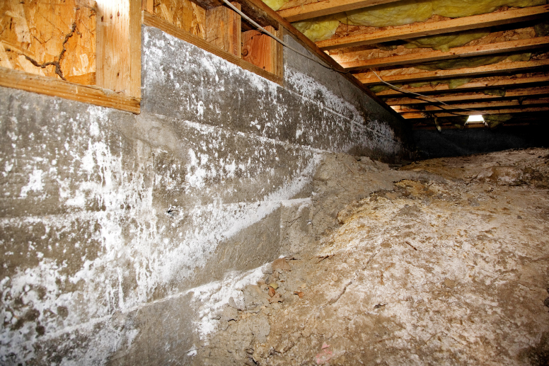 Tips for Cleaning a Crawl Space