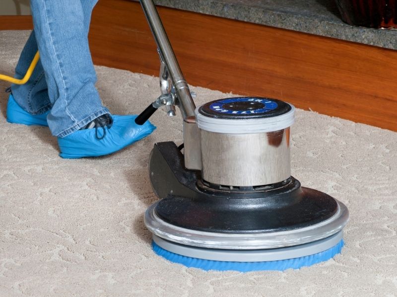 3 Questions to Ask Your Professional Carpet Cleaning Service